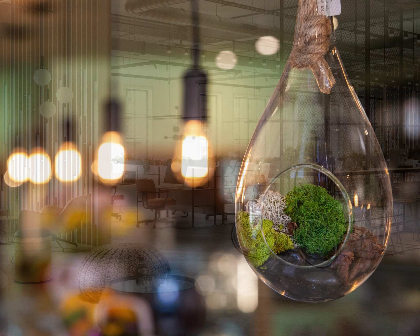 Tax Incentives for Energy-Efficient Upgrades: Save Money While Going Green