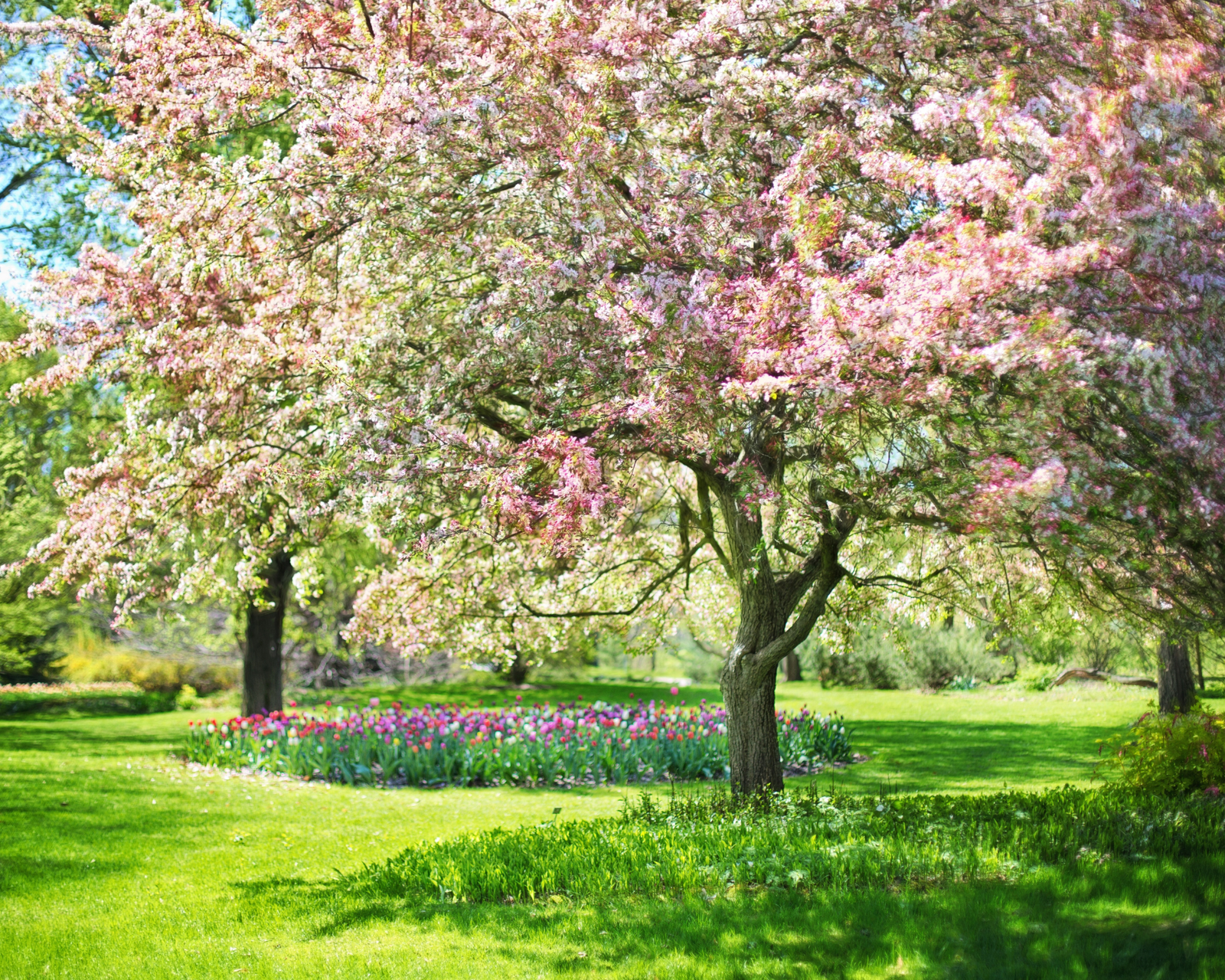 Spring is Coming—Time to Prepare Your Property!