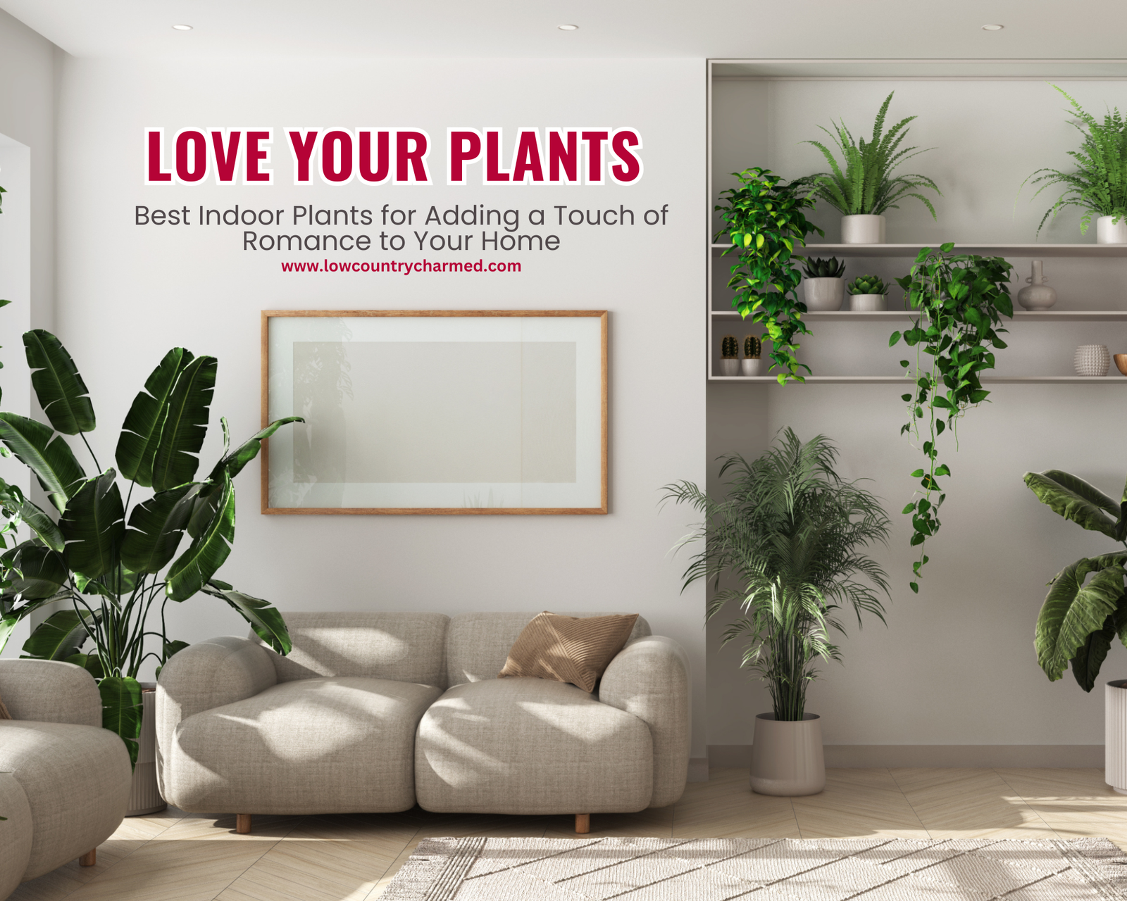 Love Your Plants: Best Indoor Plants for Adding a Touch of Romance to Your Home