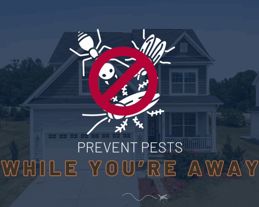 copy of copy of copy of copy of newsletter front photo (2)