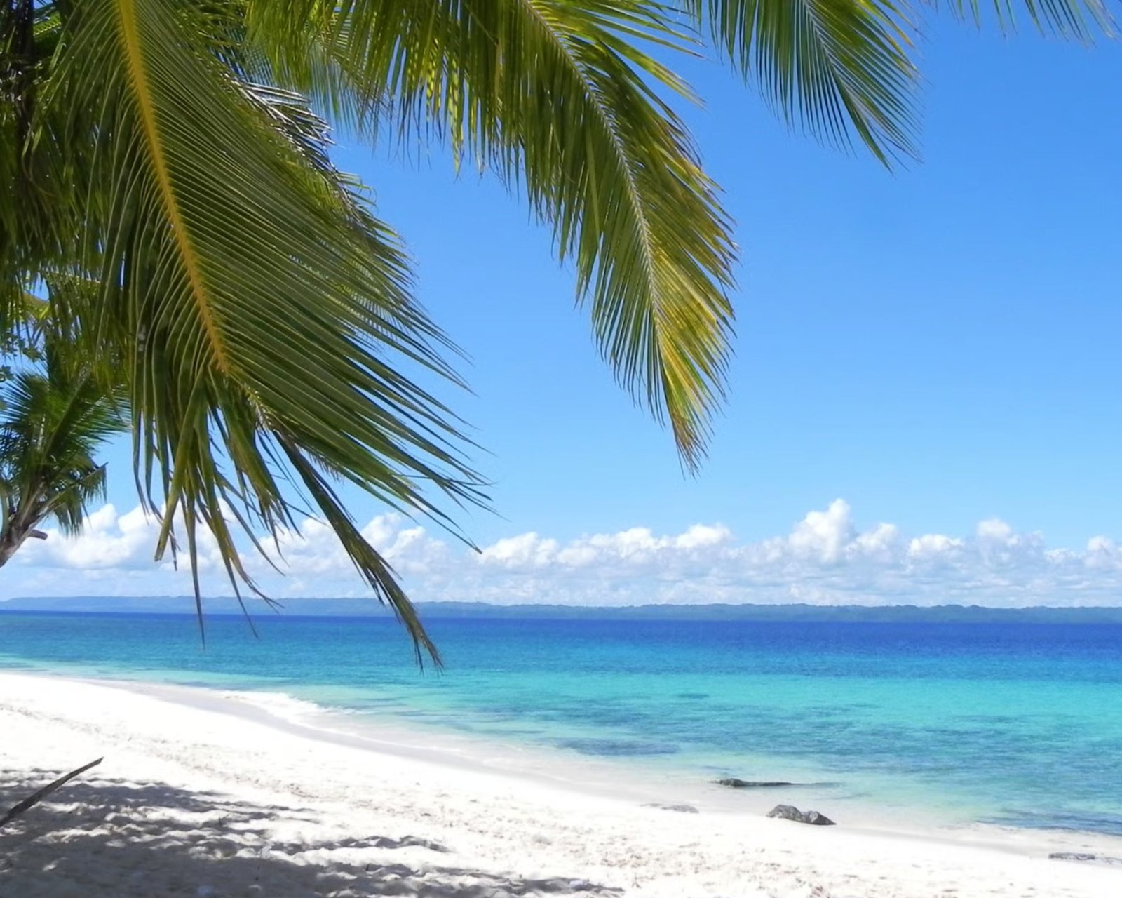 The Best Beaches Near Charleston for Your Dream Home!