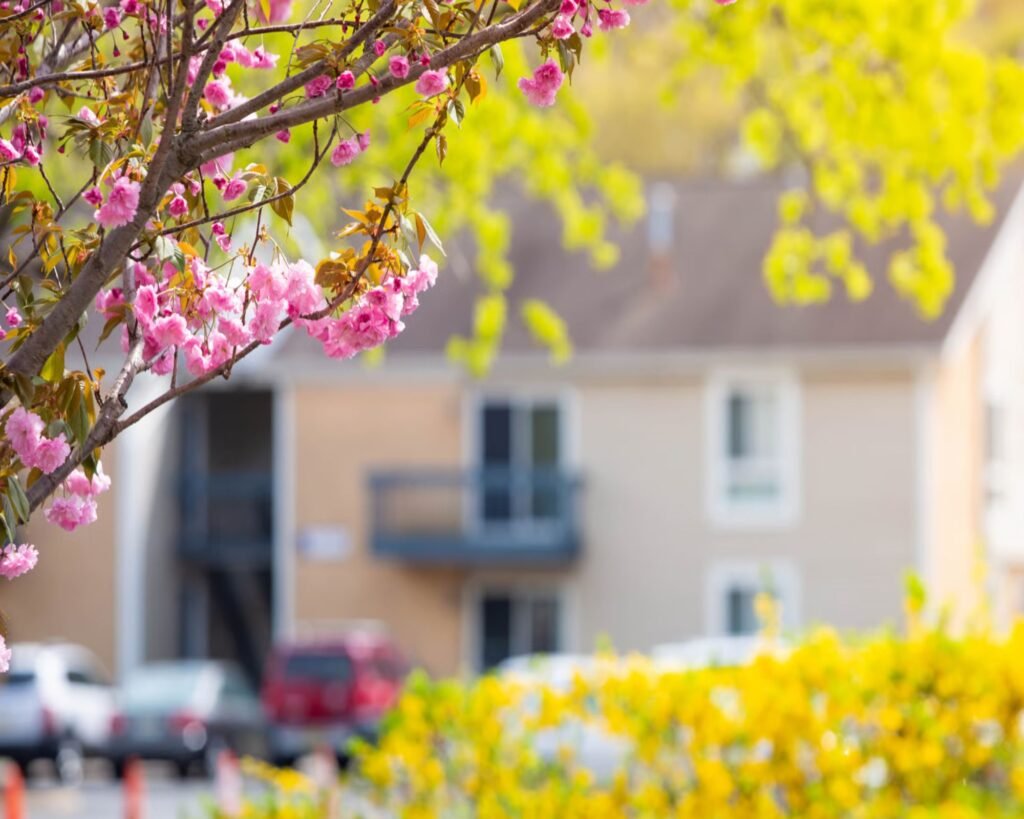 spring
