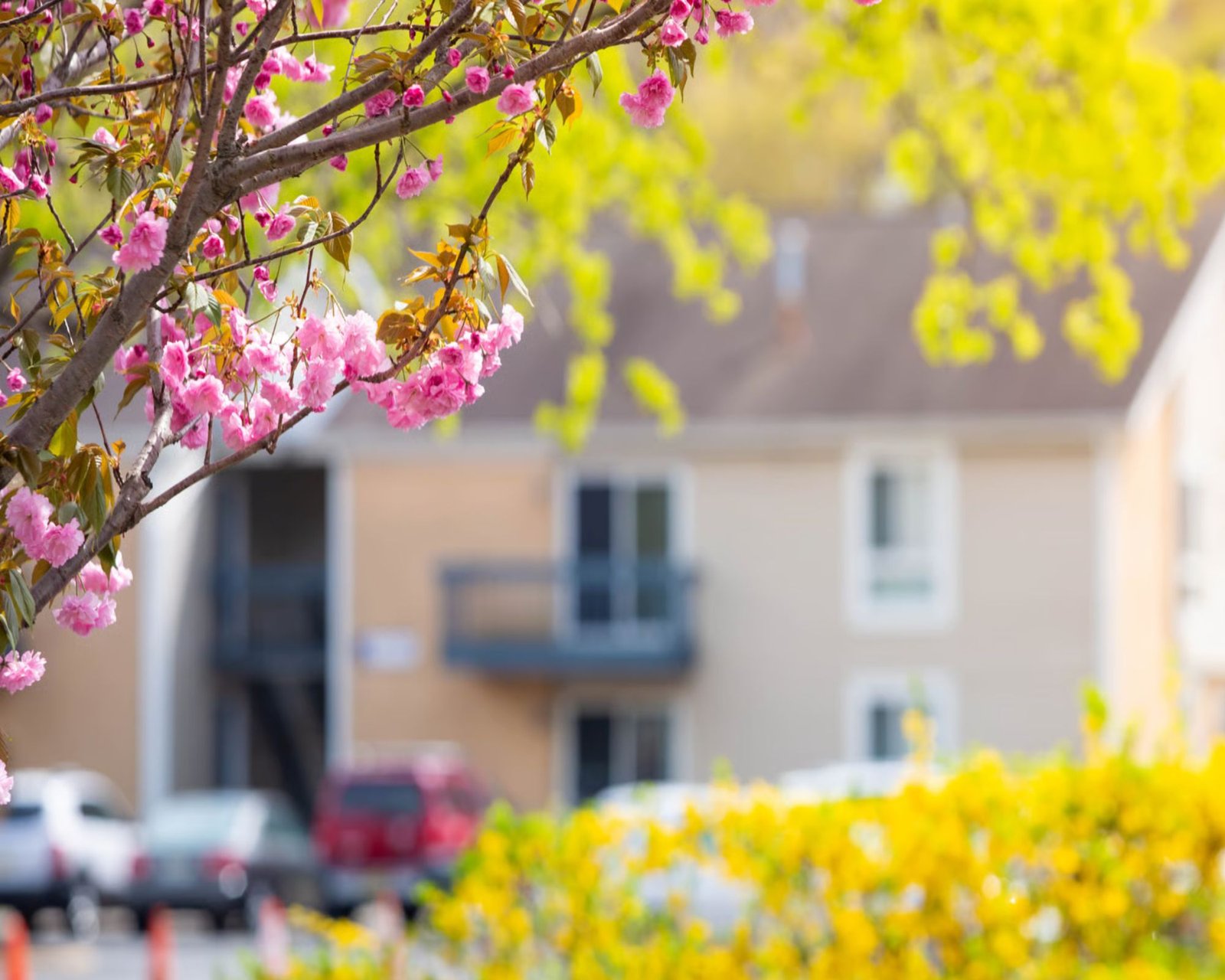 EASY SPRING Home Refresh: Make Your Space Feel Cool, Calm, and Inviting