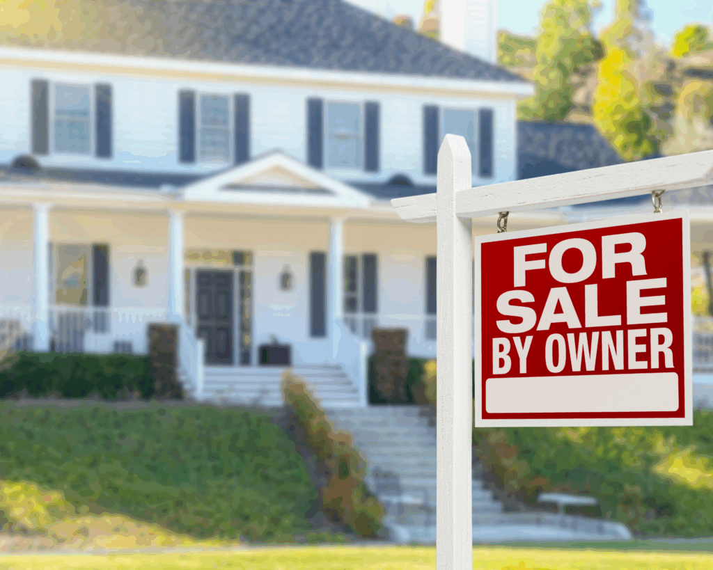 newsletter front photo (3)